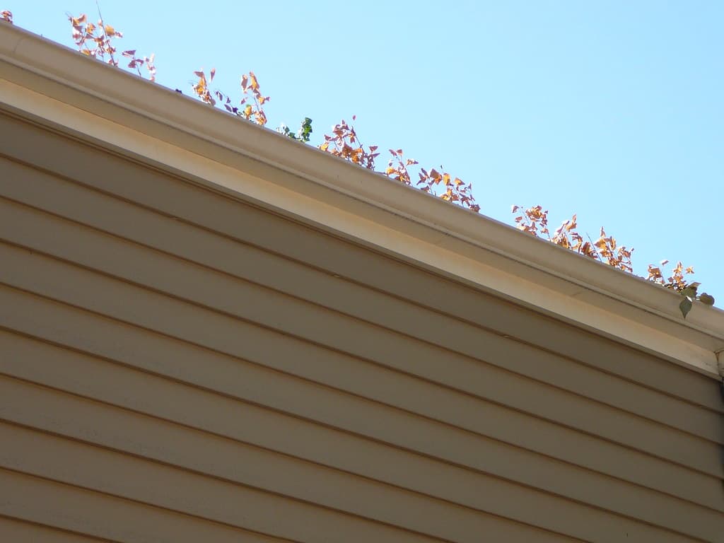 Gutter cleaning professional working at a residential property