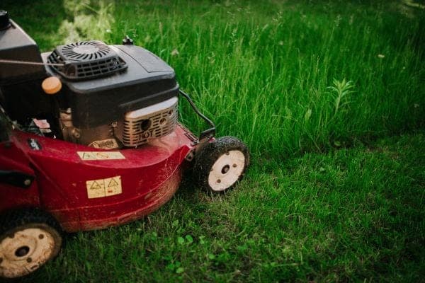 Lawn mower on a freshly cut green lawn in Guelph, Ontario