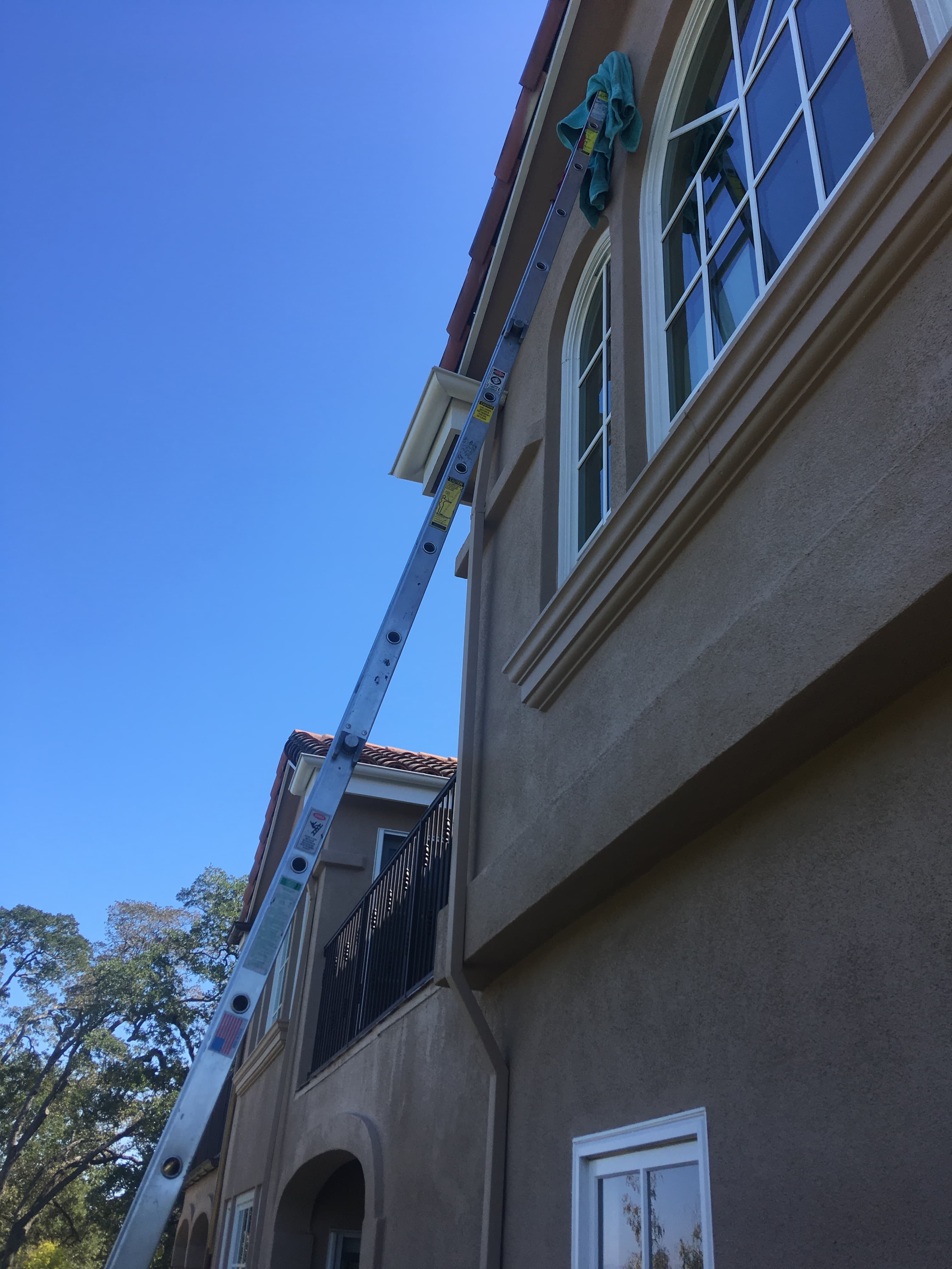 Exterior window cleaning setup with a ladder at a residential home