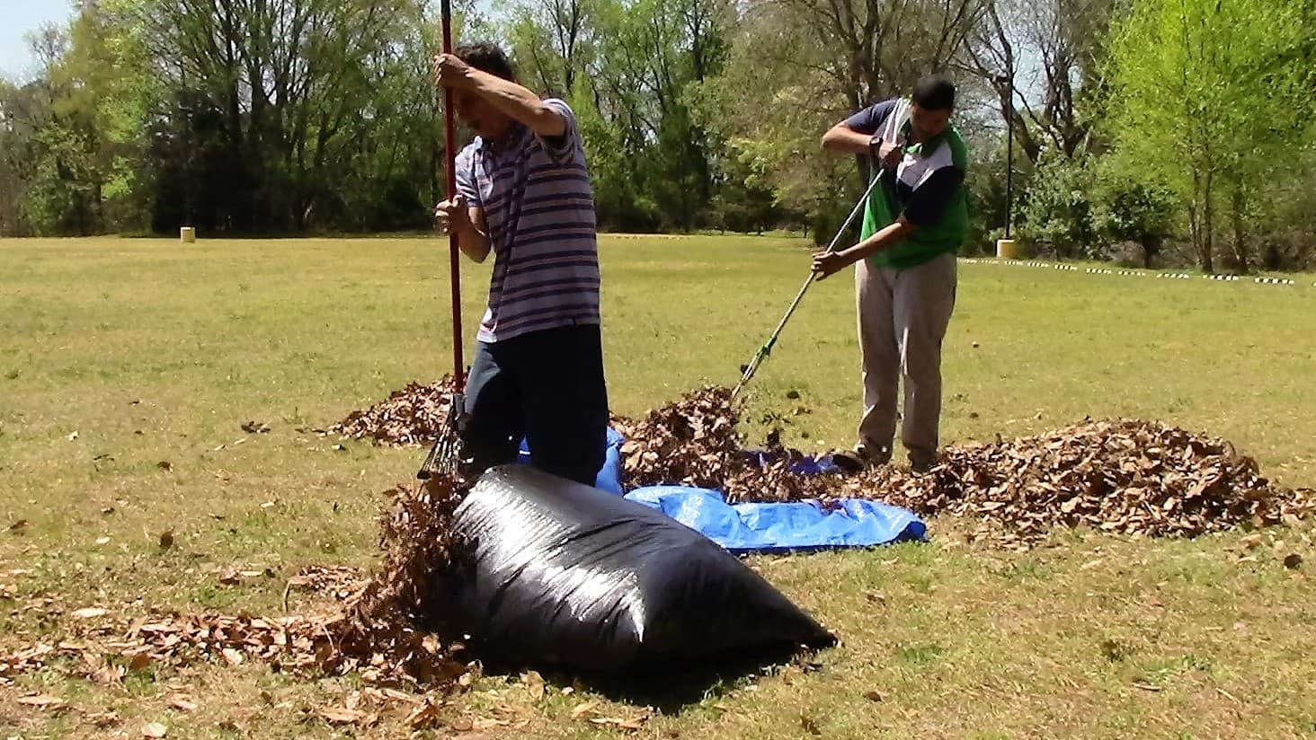 Yard cleanup workers raking leaves into bags on a lawn