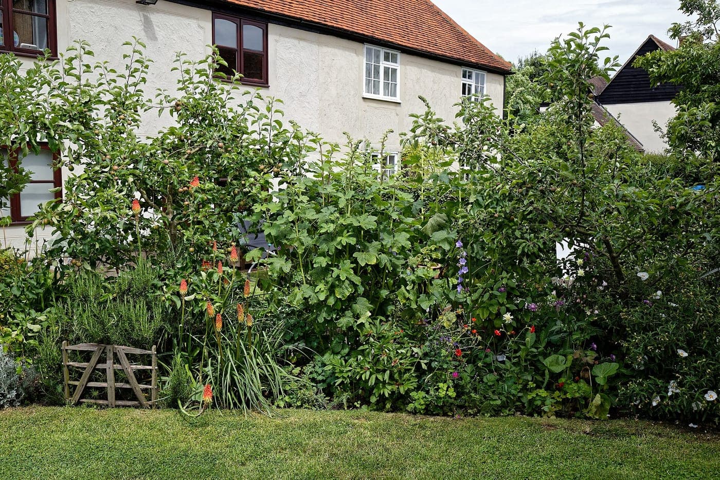 Low-maintenance landscaped garden border with lawn at a Guelph home